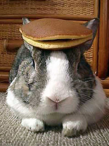 a rabbit with 2 pancakes on its head