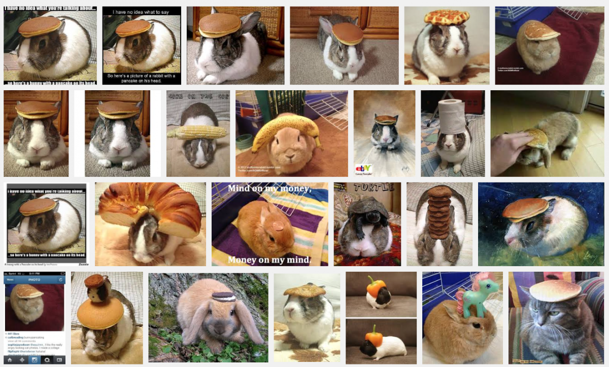 search results
